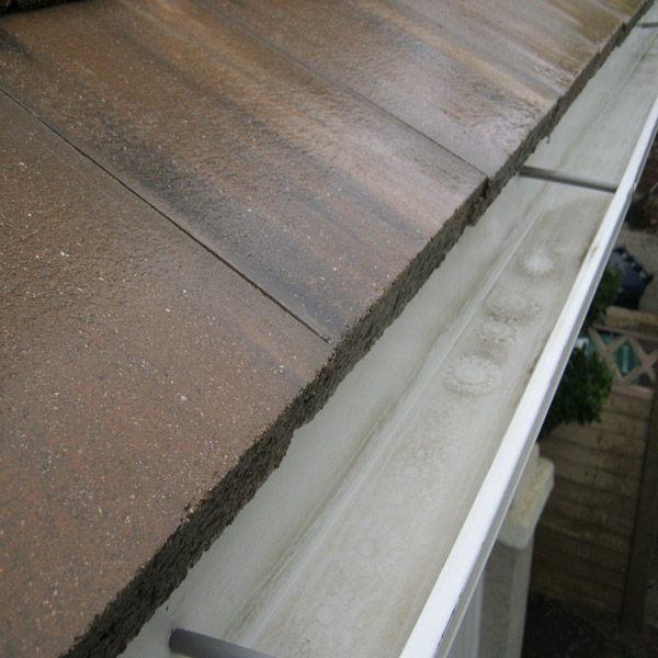 Roof Cleaning & Rain Gutter Cleaning